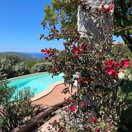 Sea Sky With Private Pool * Costa Paradiso